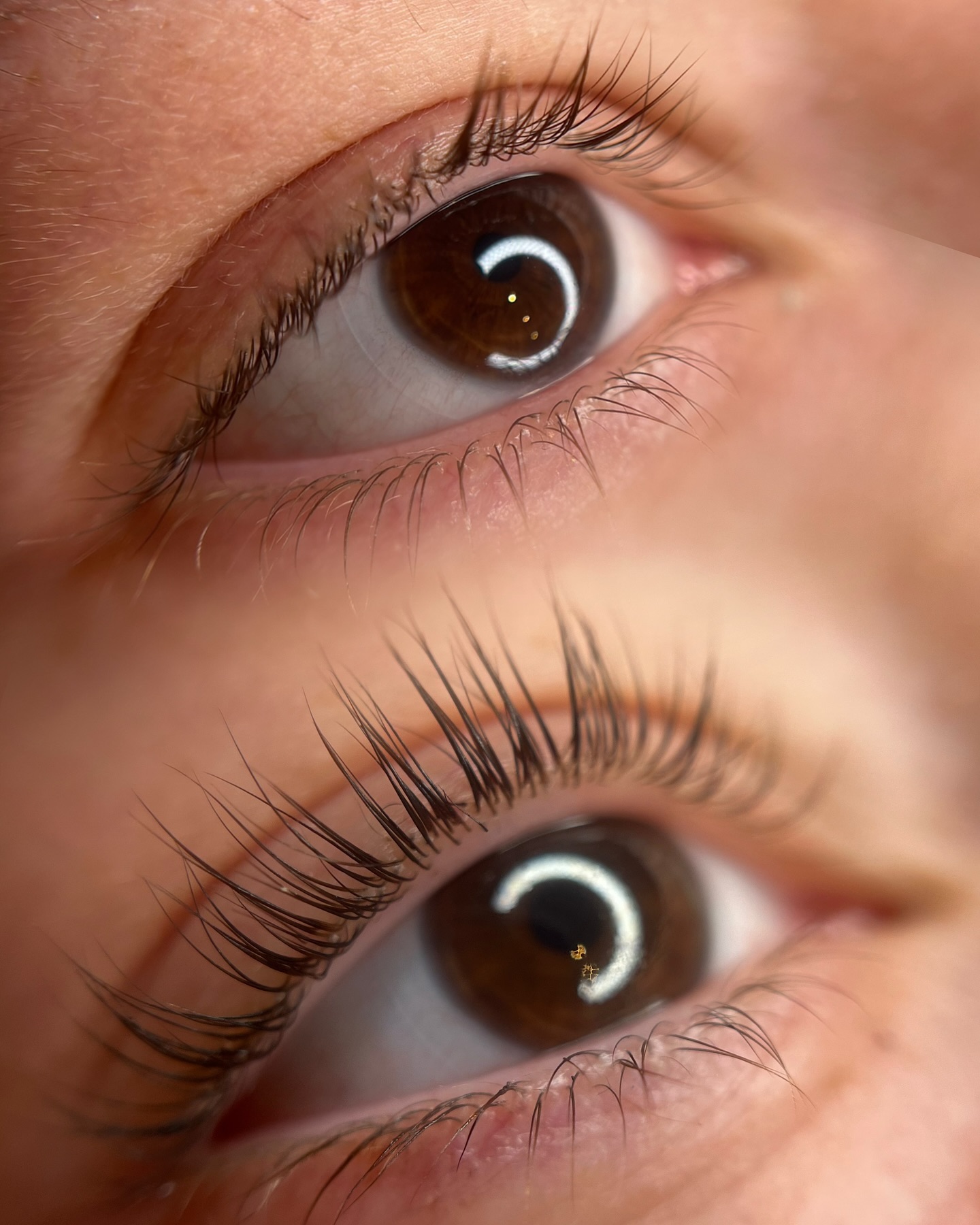 Brows & Lashes image