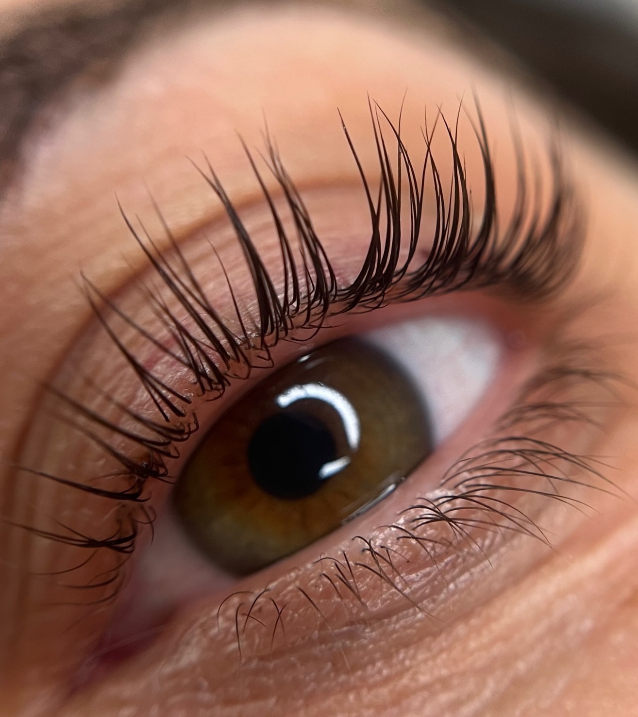 Brows & Lashes image