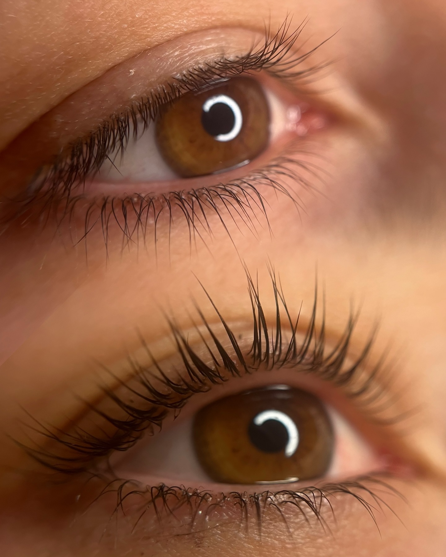 Brows & Lashes image