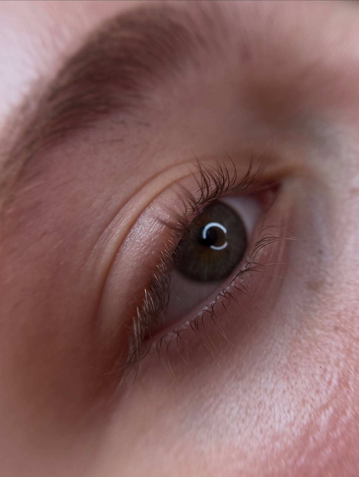 Brows & Lashes image